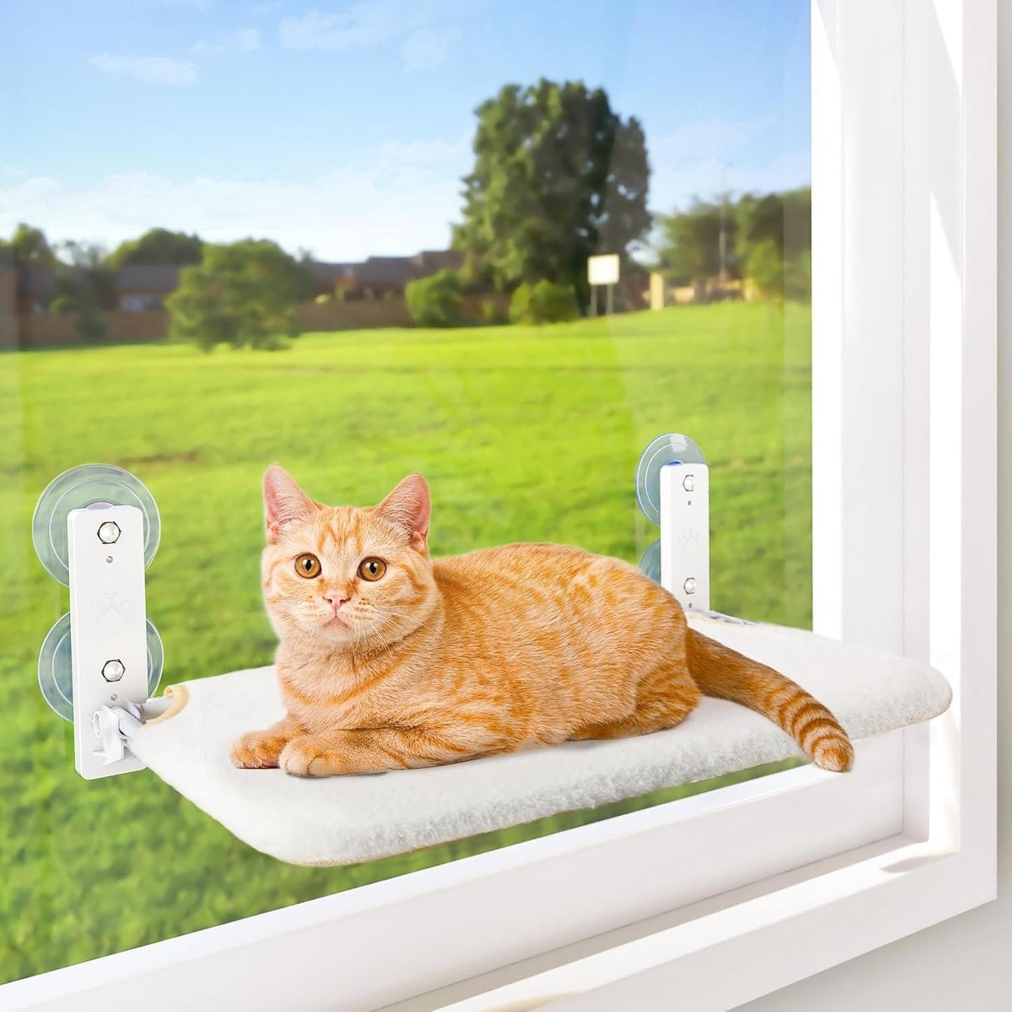 Cat Hammock Window