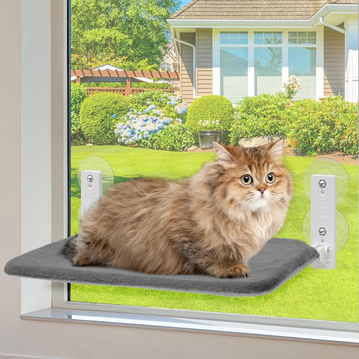 Cat Hammock Window