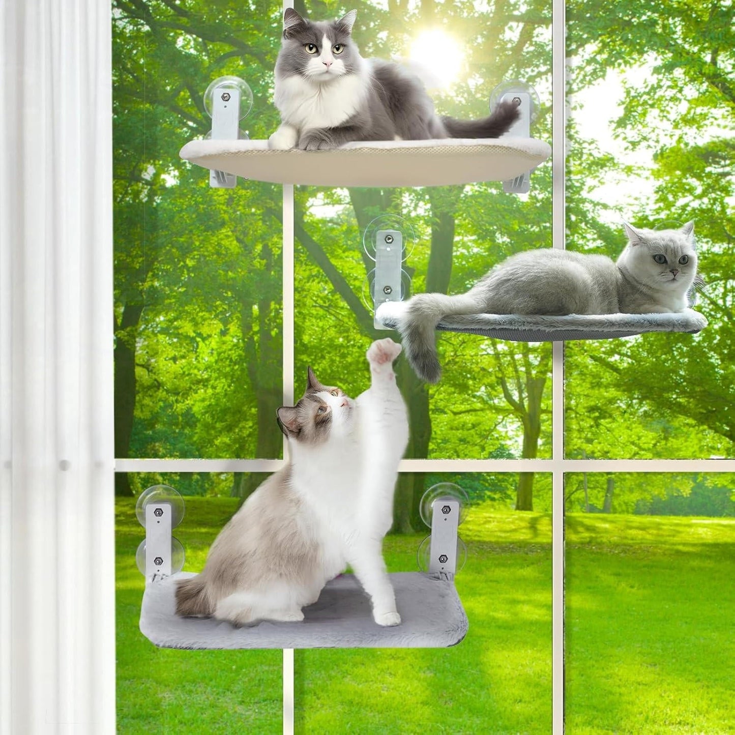 Cat Hammock Window