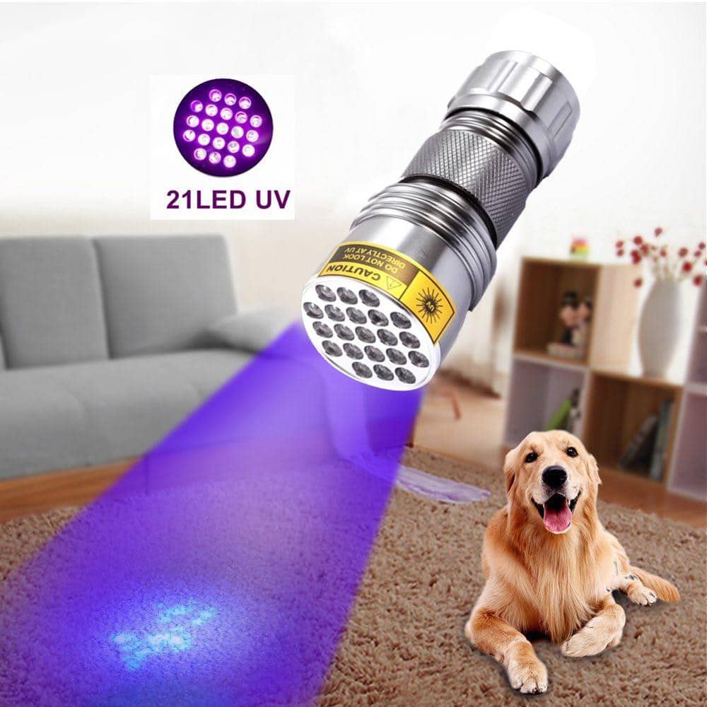 Powerful 21 LED pocket UV lamp