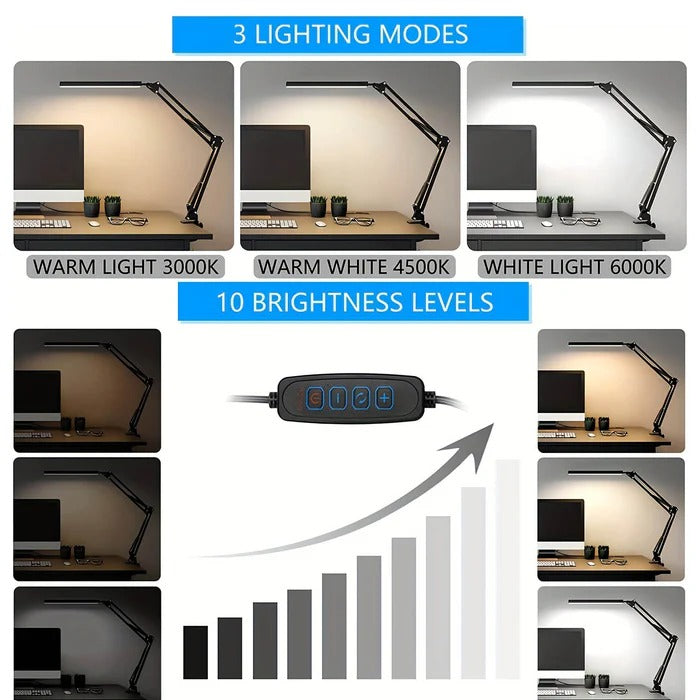 LED Desk Lamp with Clamp