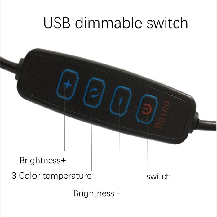LED Desk Lamp with Clamp