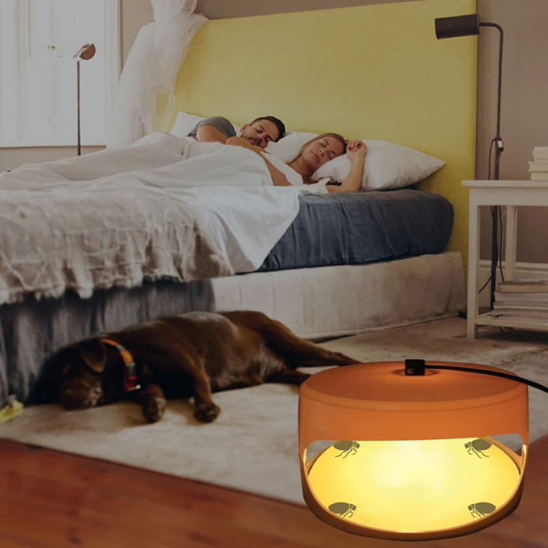 Indoor Bed Bug Trap and Catcher with Sticky Pads