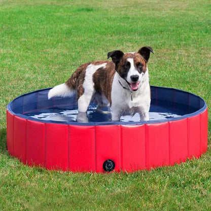 Foldable Dog Pool