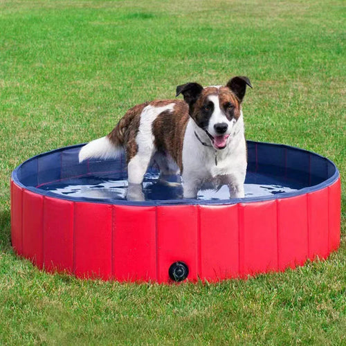 Foldable Dog Pool
