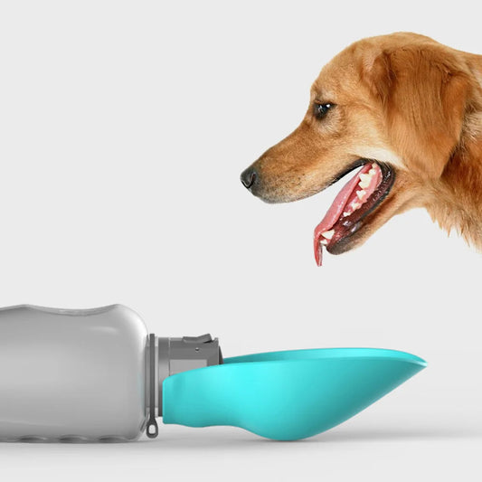 Portable Dog Water Bottle
