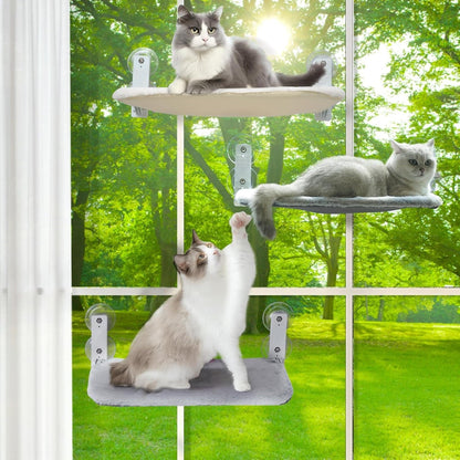 Cat Hammock Window
