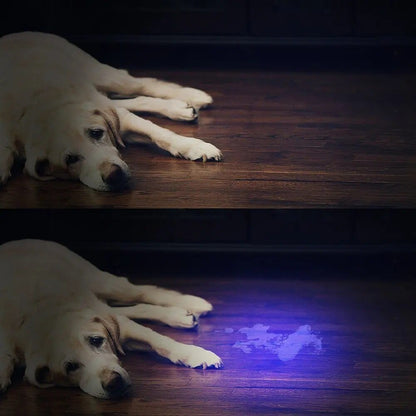Powerful 21 LED pocket UV lamp