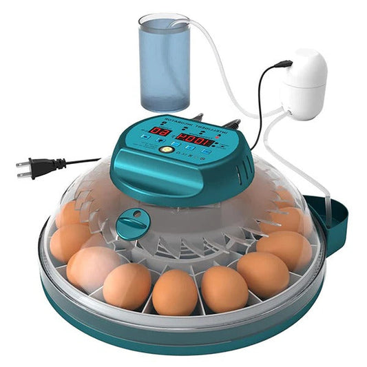 15 Eggs Incubator with Automatic Humidity Control