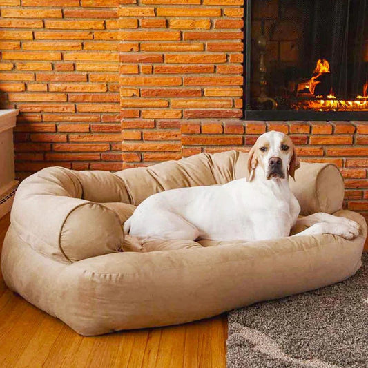 Dog Sofa With Cushioning