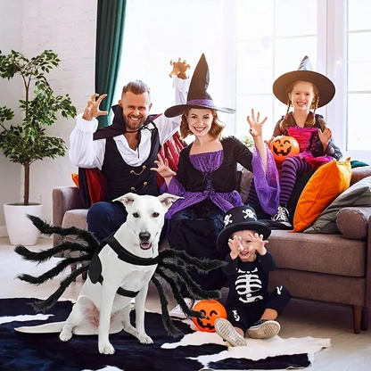 Pet Funny Spider Costume