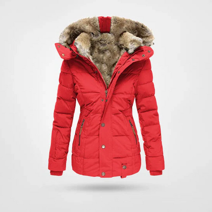 Warm fashionable winter jacket with lining and hood