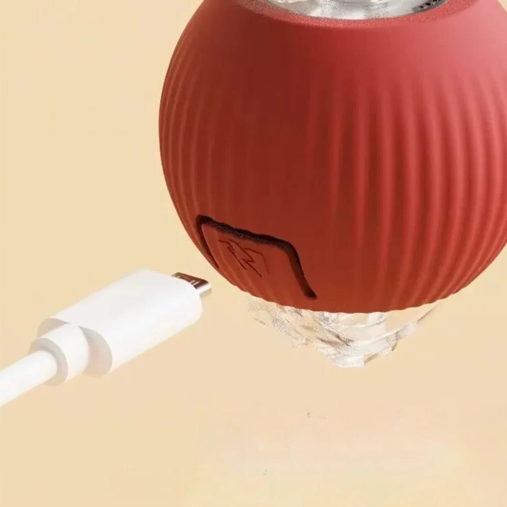 Active Rolling Ball with Tail for Dogs