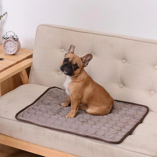 Cooling Pad for Pets