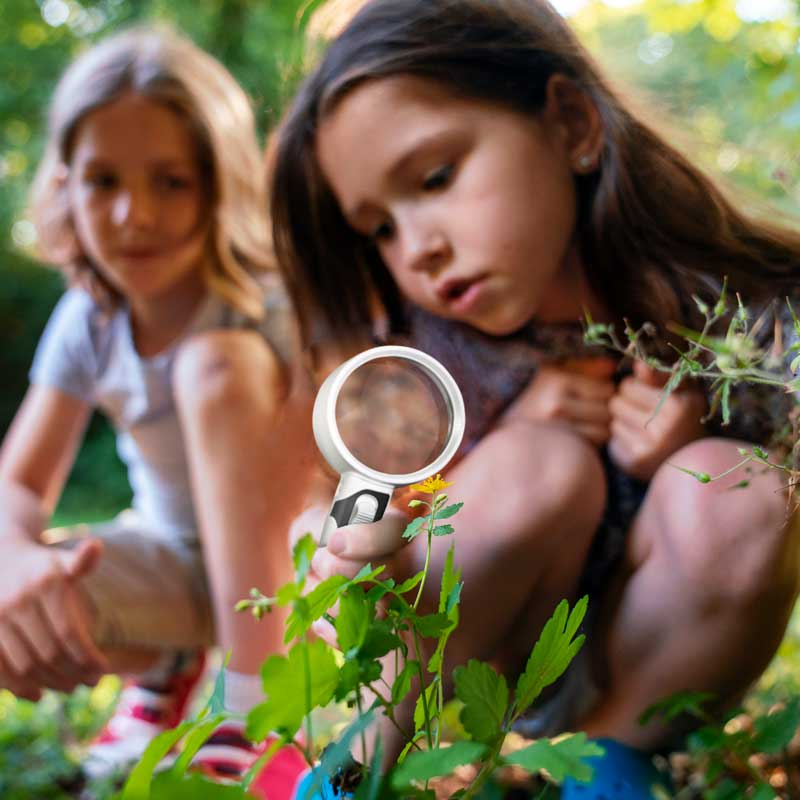 Optical Magnifying Glass