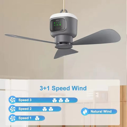 Portable Wireless Celling Fan