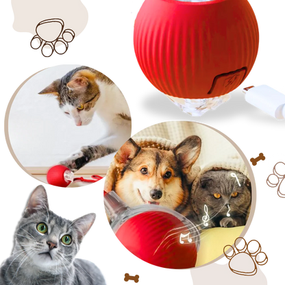 Smart Interactive Cats Ball Toy